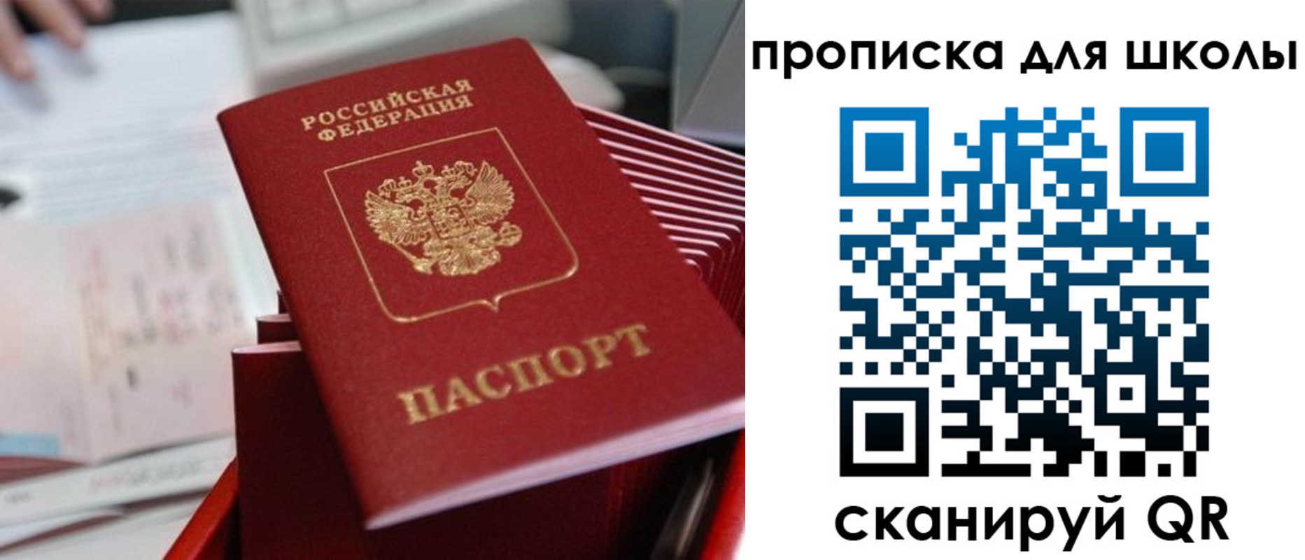 прописка для школы в Оренбургской области